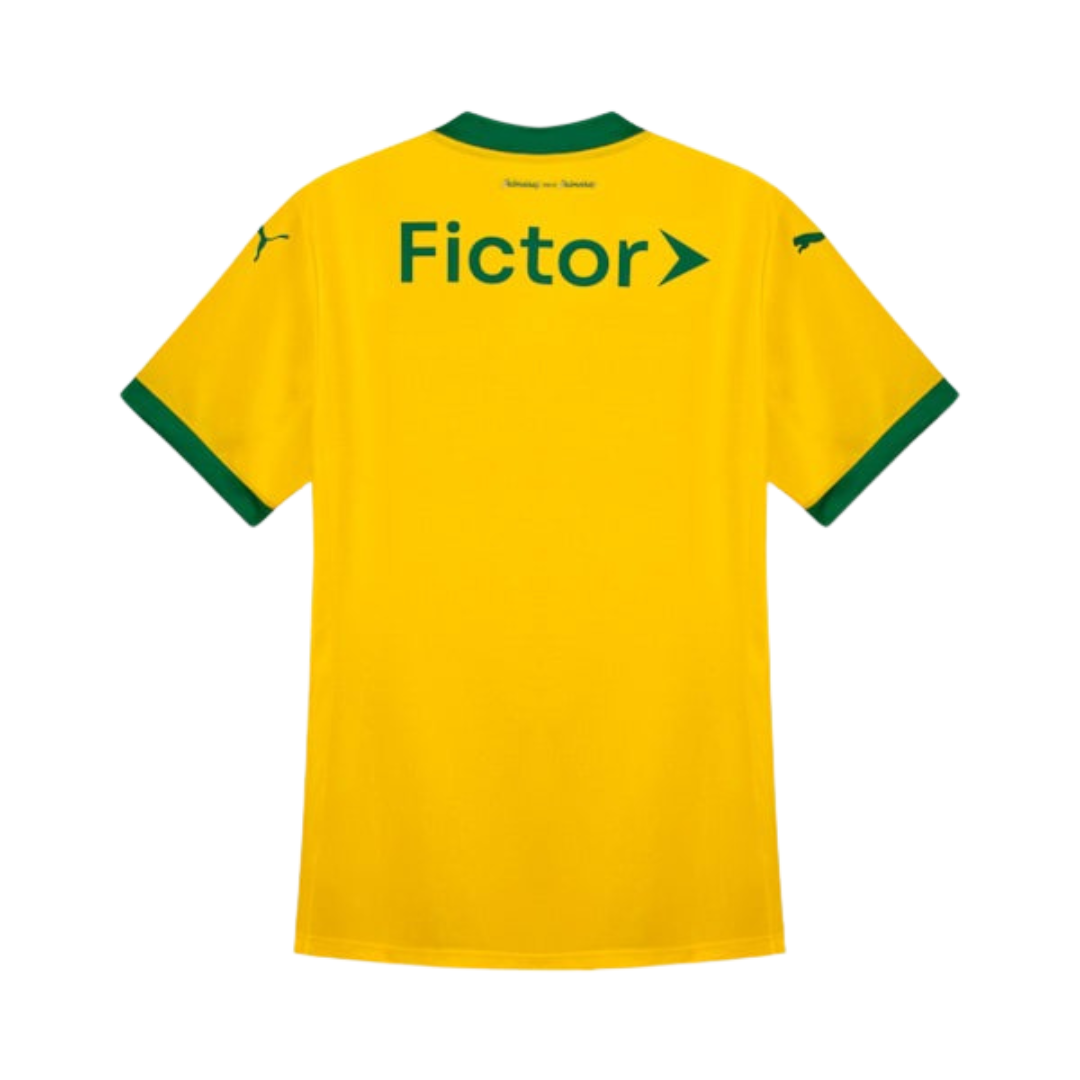 Camisa Feminina Puma Palmeiras 2025/26 III Torcedor