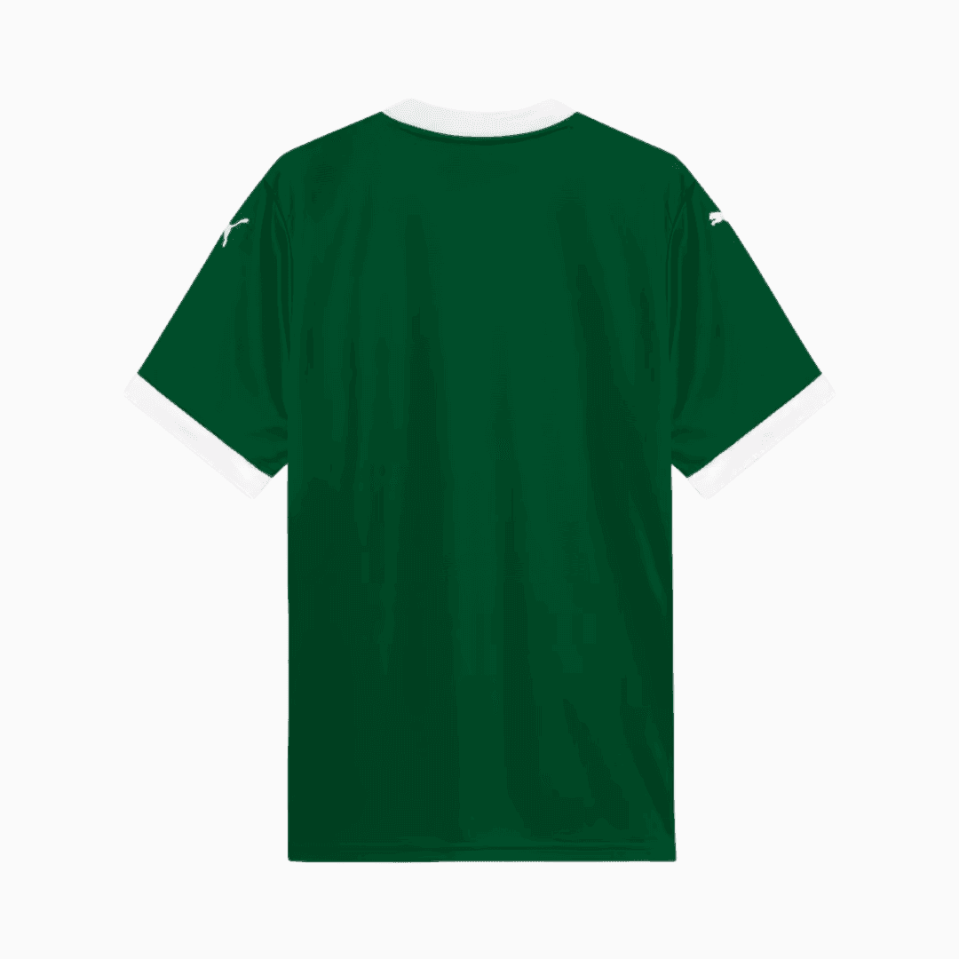Camisa Palmeiras 25/26 I "Paulinho" N° 10
