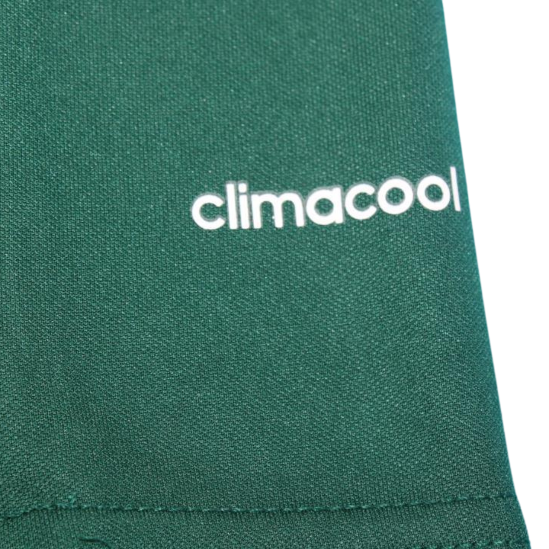 Camisa Palmeiras Home 2014 - Versão Retrô "Valdivia" Nº 10