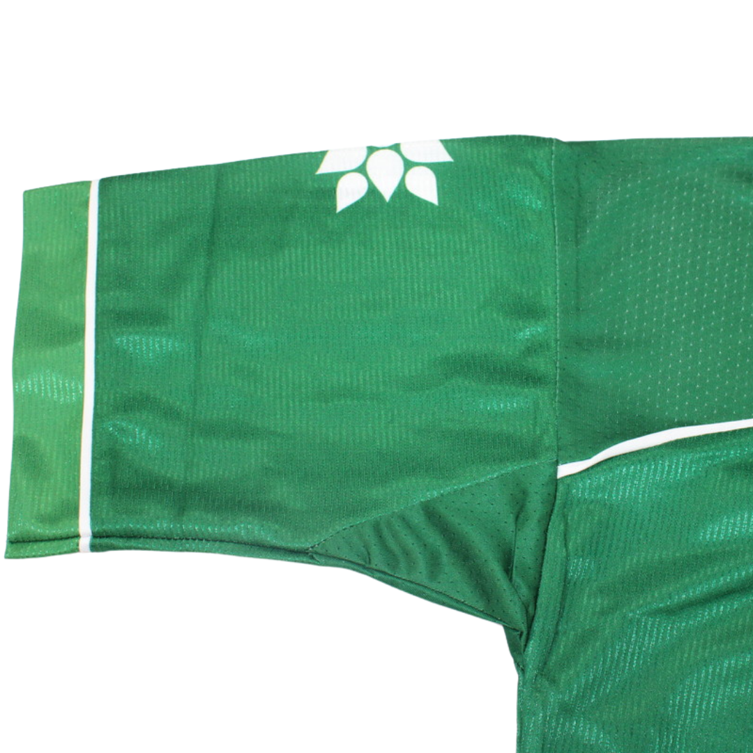 Camisa Palmeiras Aniversario - Versão Retrô "Chiqui Arce" Nº 2