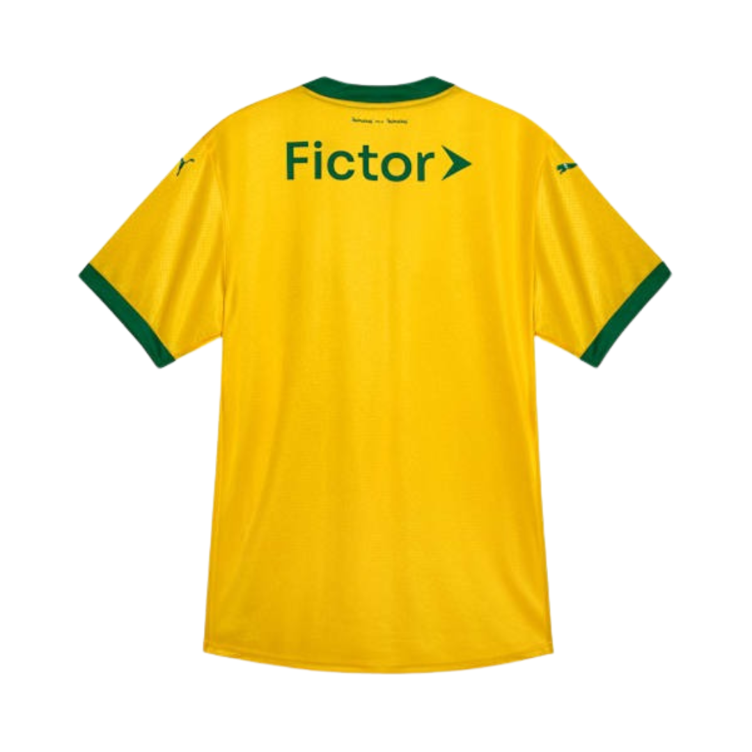 Camisa Puma Palmeiras 2025/26 III Jogador