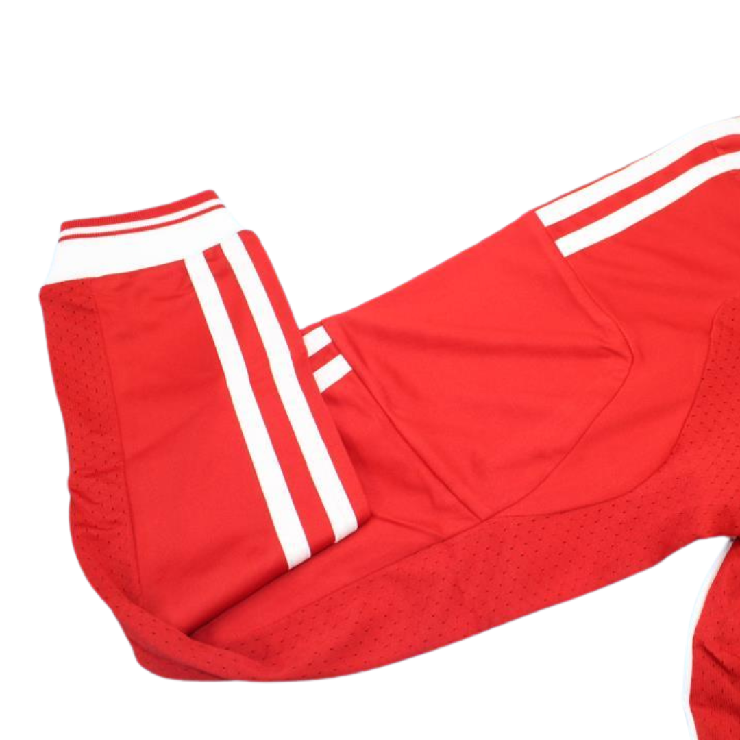 Camisa Bayern de Munique Manga Longa Home 13/14 - Versão Retrô
