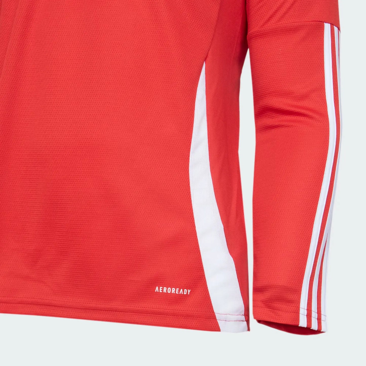 Camisa Internacional Manga Longa Home 25/26